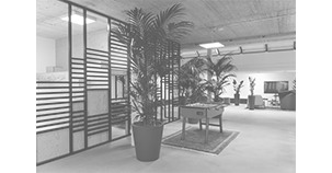 Xelon Office