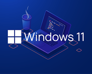 Windows 11